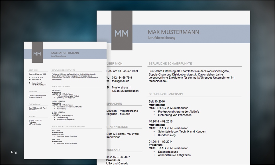 Lebenslauf Vorlage 2017 Schüler Genial Lebenslauf 2017 Meinebewerbung