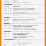 Lebenslauf Vorlage Arbeitssuchend Gut 15 Tabellarischer Lebenslauf Arbeitssuchend