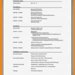 Lebenslauf Vorlage Arbeitssuchend Luxus 7 Lebenslauf Arbeitssuchend