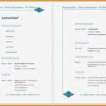 Lebenslauf Vorlage Ausbildung 2017 Beste 9 Lebenslauf 2017