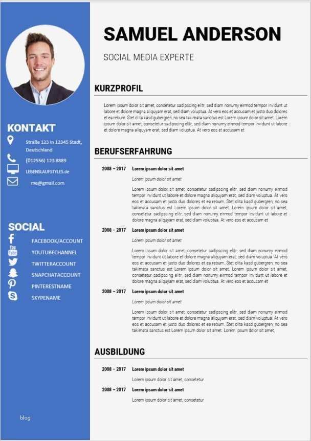 Lebenslauf Vorlage Ausbildung 2017 Süß Bewerbungsvorlage Kostenloses Muster