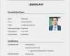 Lebenslauf Vorlage Ausbildung Word Best Of 13 Lebenslauf Ausbildung Muster Word