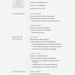 Lebenslauf Vorlage Berufenet Elegant Lebenslauf Muster Für Multimediakünstler