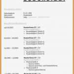 Lebenslauf Vorlage Berufenet Süß Lebenslauf Vordrucke Kostenlos Vorlage Lebenslauf