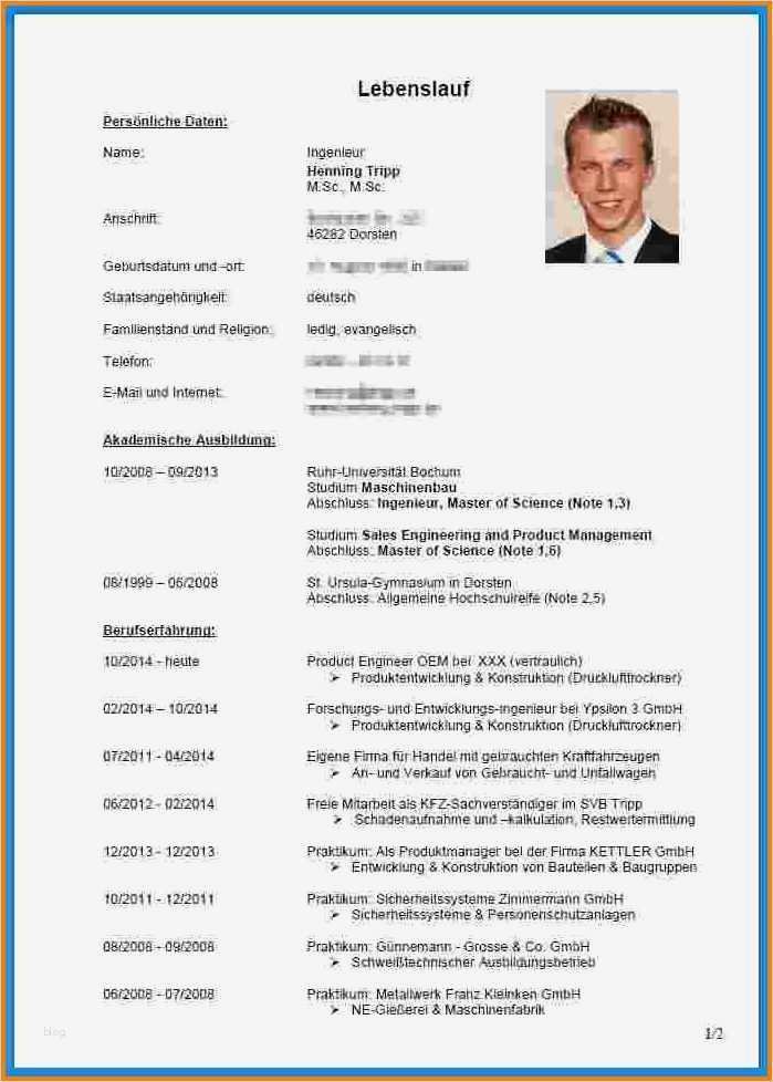 Lebenslauf Vorlage Berufserfahrung Inspiration 8 Lebenslauf Berufserfahrung