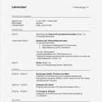 Lebenslauf Vorlage Deutschland Angenehm Lebenslauf Vorlage 2016 Dokument Blogs