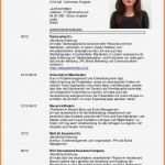 Lebenslauf Vorlage Deutschland Best Of 6 Lebenslauf Chronologisch