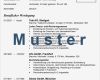 Lebenslauf Vorlage Deutschland Erstaunlich Acquisition & Consulting Services
