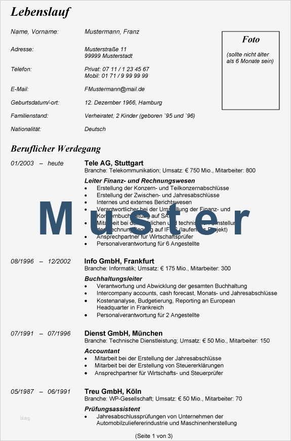 Lebenslauf Vorlage Deutschland Erstaunlich Acquisition & Consulting Services