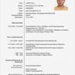 Lebenslauf Vorlage Deutschland Gut Cv Petar Luketic