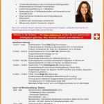 Lebenslauf Vorlage Deutschland Hübsch 11 Lebenslauf Deutsch Muster
