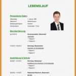 Lebenslauf Vorlage Deutschland Hübsch 11 Lebenslauf Vorlage Deutsch