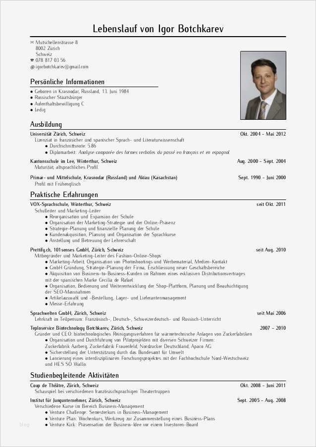 Lebenslauf Vorlage Deutschland Inspiration Cv Juli 2013 Igor Botchkarev