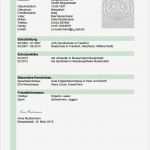 Lebenslauf Vorlage Für Ausbildung Erstaunlich Azubi Muster Lebenslauf Hellgrünes Design