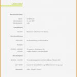 Lebenslauf Vorlage Für Ausbildung Neu 13 Lebenslauf Erzieherin