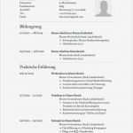 Lebenslauf Vorlage Klassisch Erstaunlich Klassisch Stilvolles Lebenslauf Muster Zum Kostenlosen