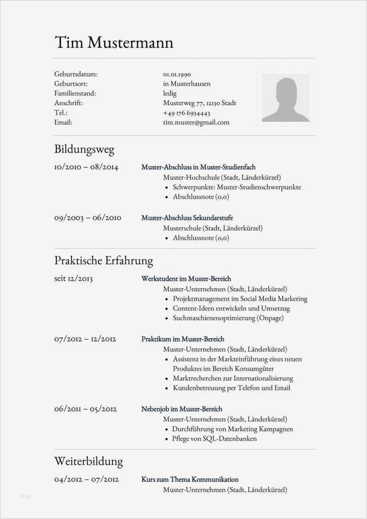 Lebenslauf Vorlage Klassisch Erstaunlich Klassisch Stilvolles Lebenslauf Muster Zum Kostenlosen