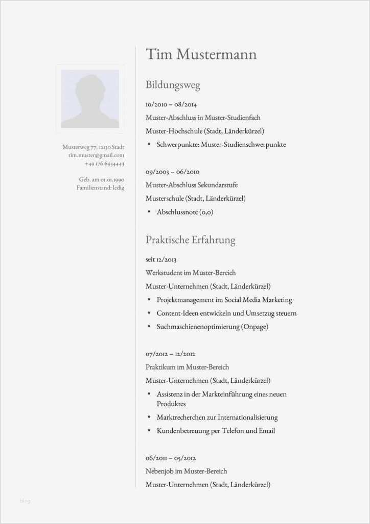 Lebenslauf Vorlage Klassisch Hübsch Klassisch Stilvolles Lebenslauf Muster In Einspaltigen