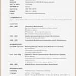 Lebenslauf Vorlage Kostenlos Ohne Anmeldung Luxus Fein Spielzeuggeld Vorlage Bilder Dokumentationsvorlage