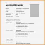 Lebenslauf Vorlage Max Mustermann Einzigartig 5 Vorlage Lebenslauf Word