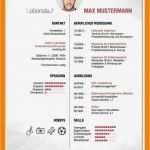 Lebenslauf Vorlage Max Mustermann Erstaunlich 12 Max Mustermann Lebenslauf
