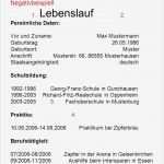 Lebenslauf Vorlage Max Mustermann Wunderbar Checkliste Was Gehört In Eine Bewerbungsmappe Ppt Video