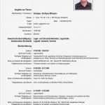 Lebenslauf Vorlage Max Mustermann Wunderbar Egeorgiev Lebenslauf