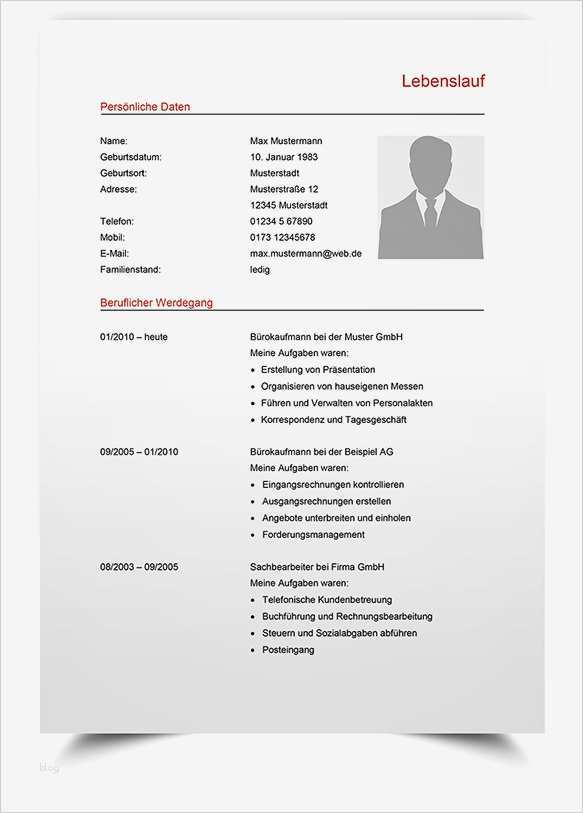 Lebenslauf Vorlage Muster Süß Lebenslauf Muster 3 Moderne Bewerbungsvorlage