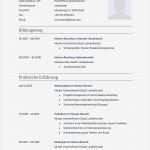 Lebenslauf Vorlage Muster Wunderbar Lebenslauf Muster Für Lehrer