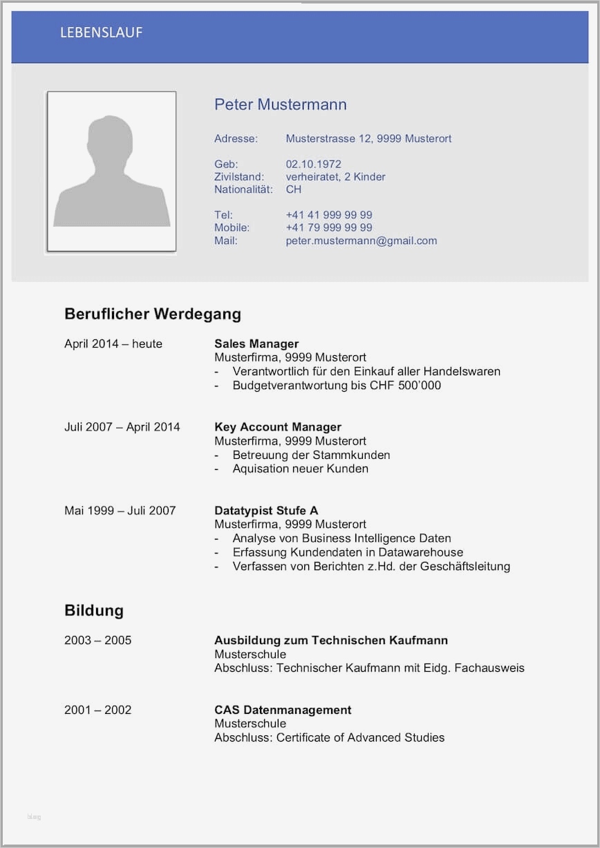 Lebenslauf Vorlage Schweiz Einzigartig Kündigungsschreiben Arbeitnehmer Word Vorlage