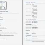 Lebenslauf Vorlage Schweiz Erstaunlich Bewerbungsunterlagen – Rav Ow Nw