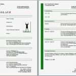 Lebenslauf Vorlage Word 2013 Luxus Kostenlose Lebenslaufvorlagen Zum Herunterladen Fice