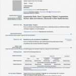 Lebenslauf Vorlage Word 2013 Wunderbar Ausgezeichnet Lebenslauf Vorlagen Microsoft Word 2013