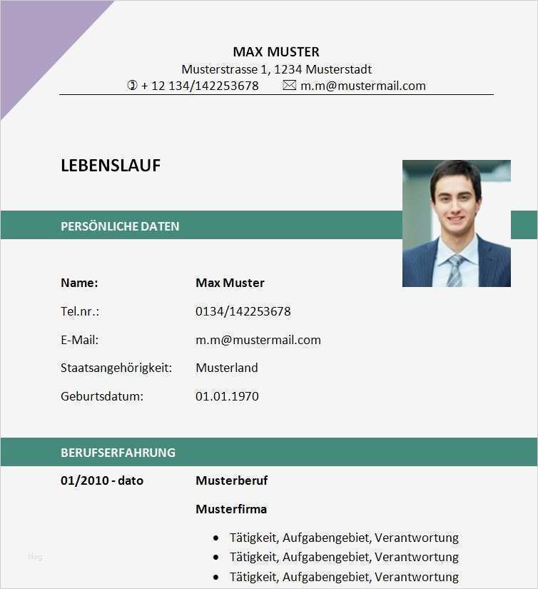 Lebenslauf Vorlage Word Modern Fabelhaft Lebenslauf Vorlage Zum Download