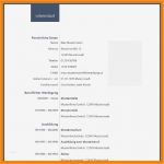 Lebenslauf Vorlage Word Xing Luxus 8 Lebenslauf Schreiben Word