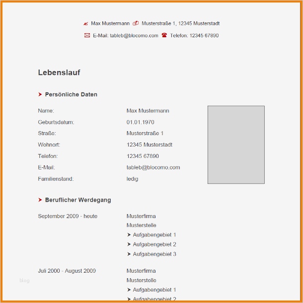 Lebenslauf Vorlage Word Xing Süß 13 Lebenslauf Vorlage Xing