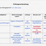 Lernplan Studium Excel Vorlage Schön 6 30 Tage Lernplan Einen Lernplan Erstellen