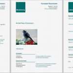 Libreoffice Vorlage Lebenslauf Bewundernswert Pin Quereinsteiger Bewerbung Vorlage On Pinterest