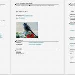Libreoffice Vorlage Lebenslauf Cool Bewerbungsvorlagen Für Libreoffice