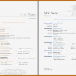 Libreoffice Vorlage Lebenslauf Einzigartig 13 Lebenslauf Modern 2015