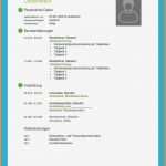 Libreoffice Vorlage Lebenslauf Elegant 13 Lebenslauf Modern 2015