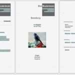Libreoffice Vorlage Lebenslauf Erstaunlich Bewerbungsvorlagen Word 2010