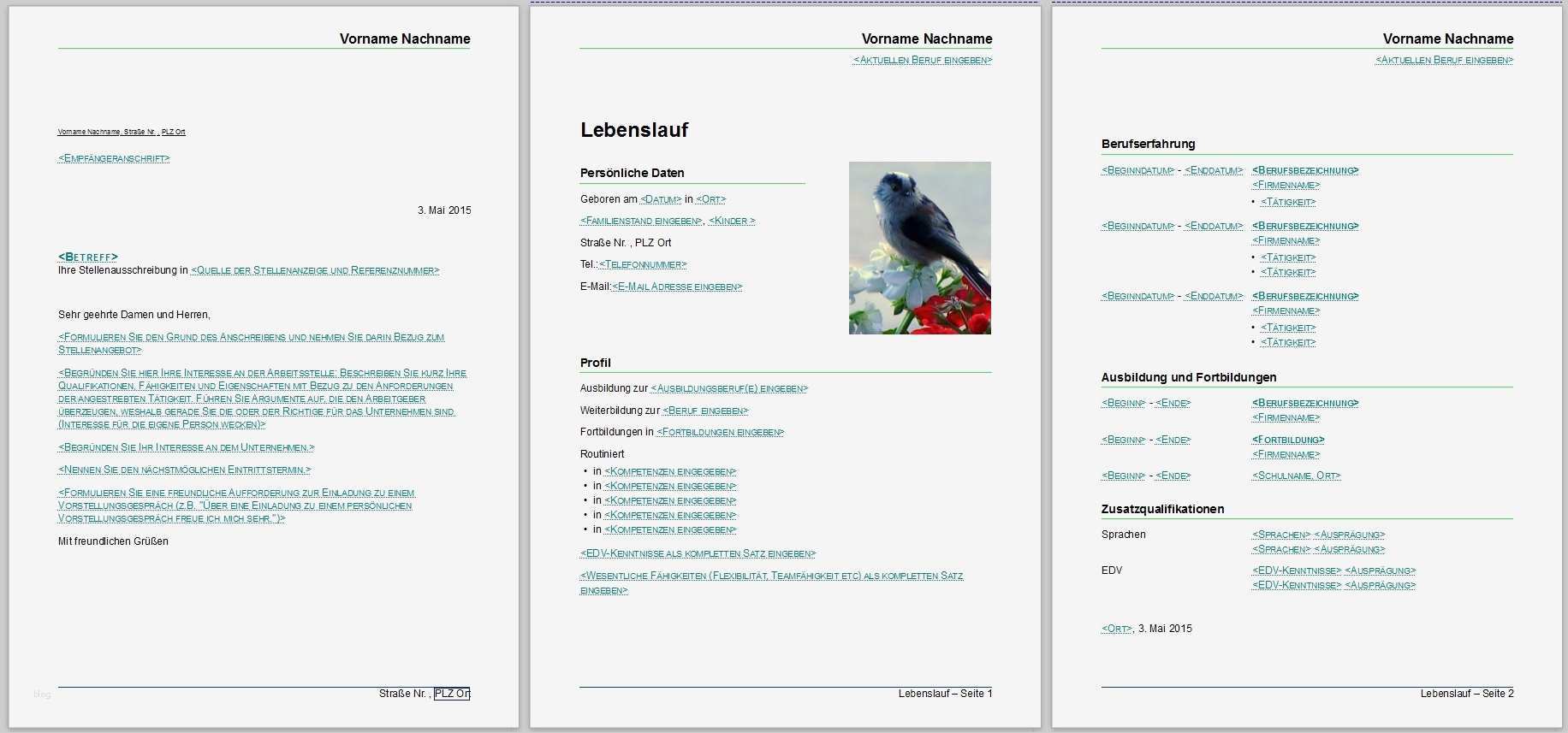 Libreoffice Vorlage Lebenslauf Genial Lebenslauf Anschreiben Lebenslauf Beispiel