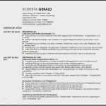 Libreoffice Vorlage Lebenslauf Luxus Fein Reinigungs Lebenslauf Download Fotos