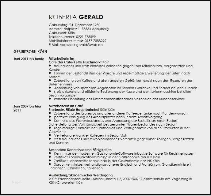 Fein Reinigungs Lebenslauf Download Fotos