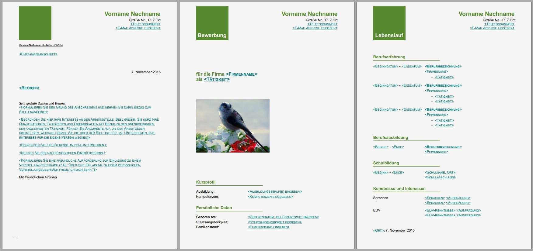 Libreoffice Vorlage Lebenslauf Süß Bewerbungsvorlagen Für Libreoffice