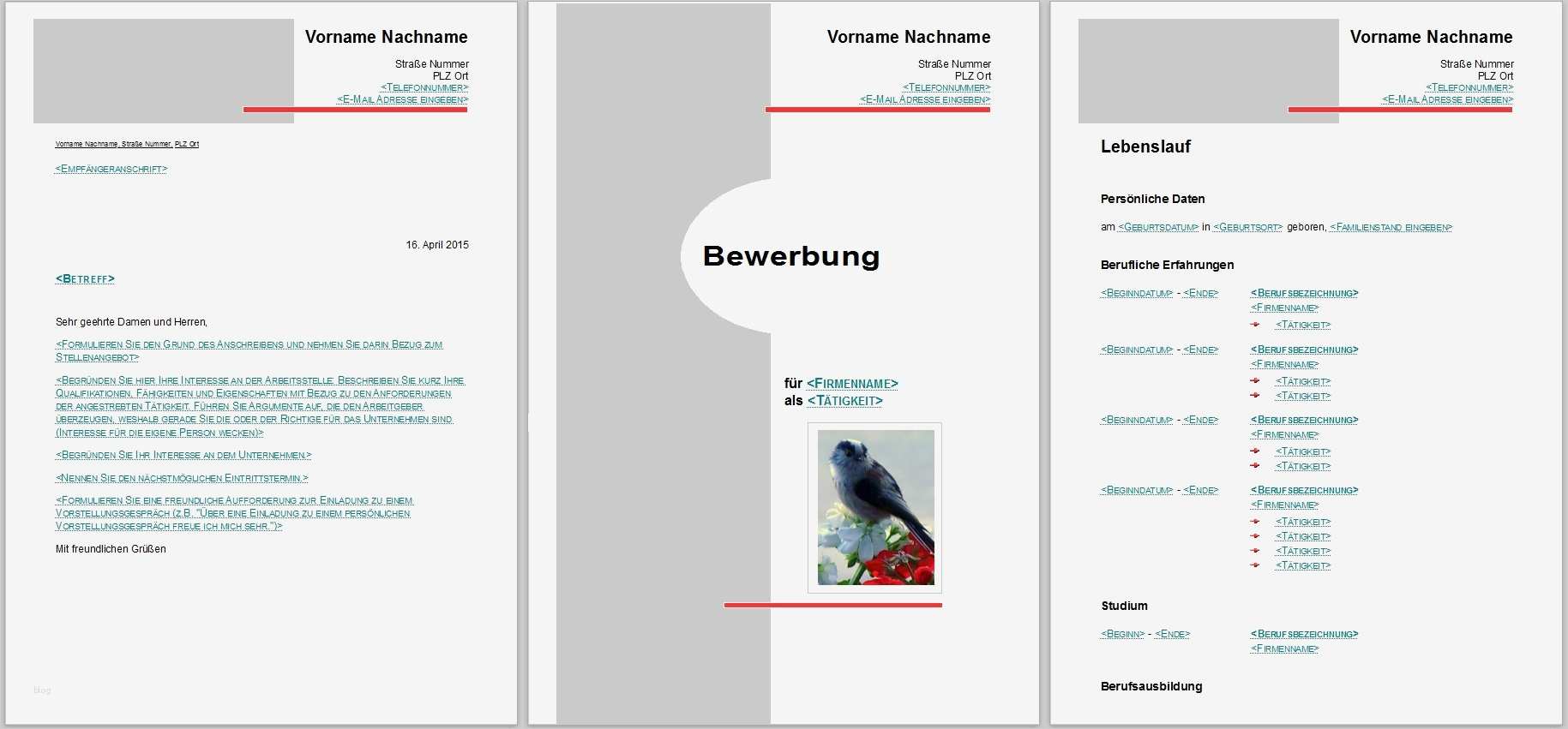 Libreoffice Vorlage Lebenslauf Wunderbar Bewerbungsvorlagen Für Libreoffice