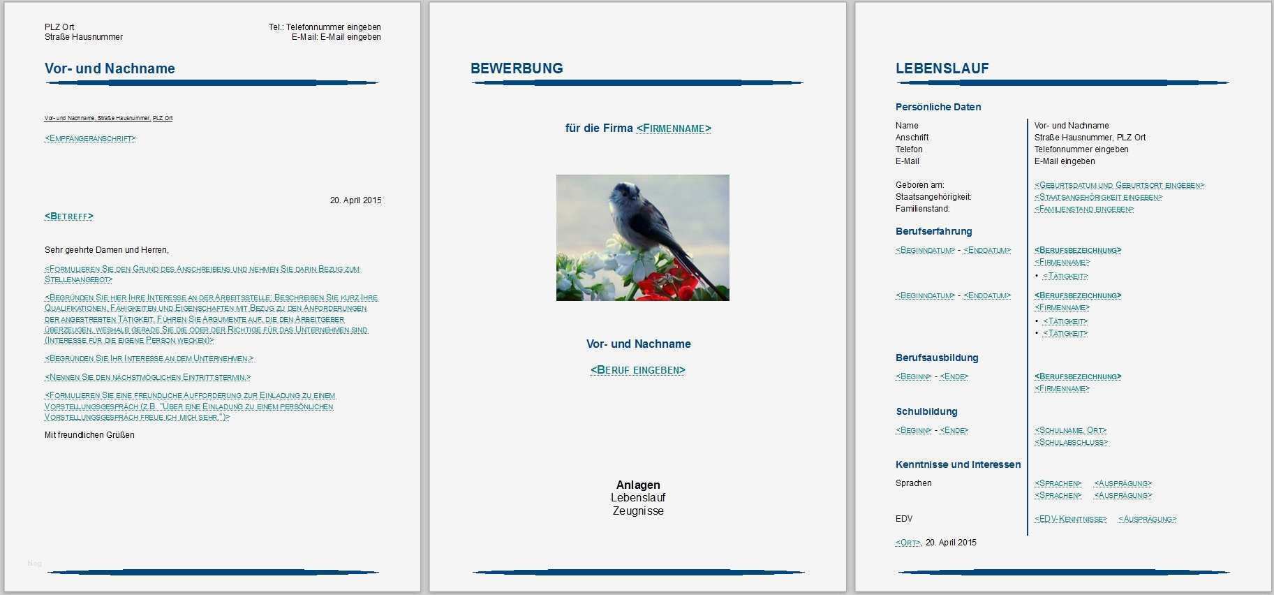 54 Elegant Libreoffice Vorlagen Bewerbung Abbildung 2 Bewerbungsvorlagen für Libreoffice