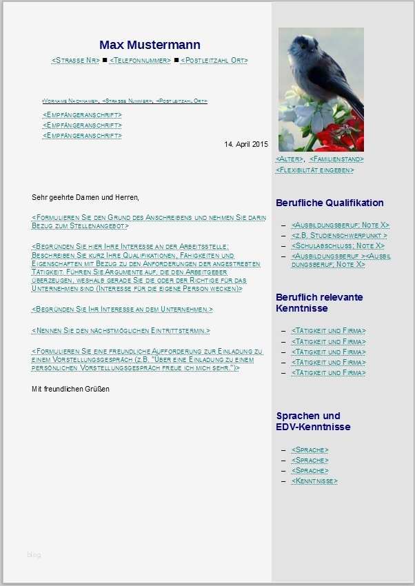 Libreoffice Vorlagen Bewerbung Elegant Bewerbungsvorlagen Für Libreoffice