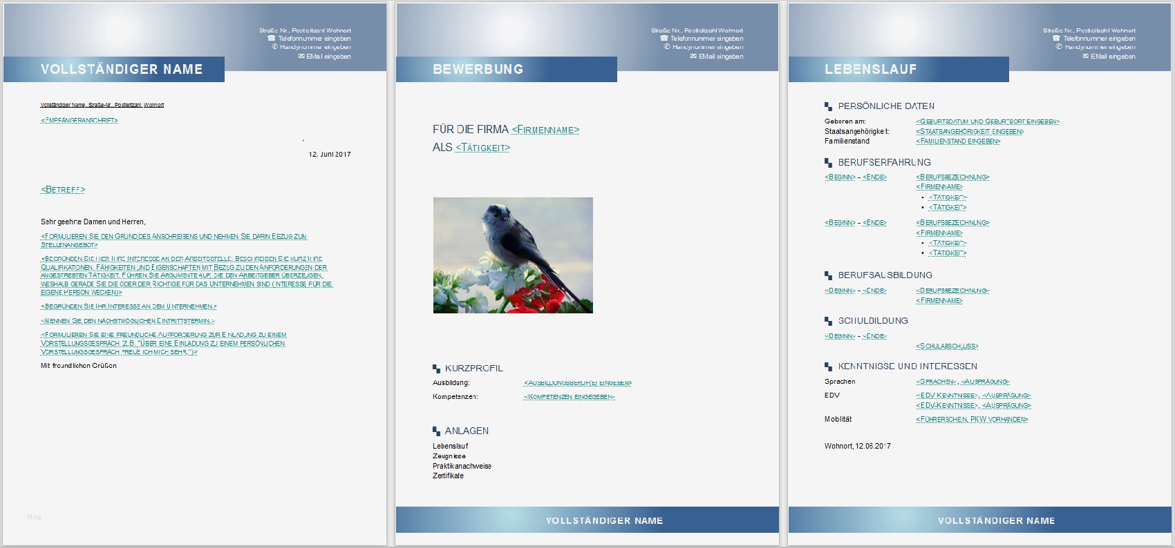 Libreoffice Vorlagen Bewerbung Erstaunlich Bewerbungsvorlagen Für Libreoffice